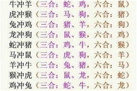 生肖 相沖|十二生肖相衝、三合、六合，何為沖，何為合，一一分。